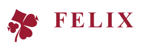 Felixgaming chez Winthere Casino